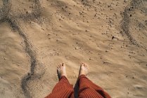 Looking down view of barefoot traveler standing on dry hot sand of coast. — Stock Photo