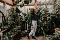 Seitenansicht einer jungen Frau, die Pflanzen im Gewächshaus betrachtet — Stockfoto