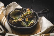 Still life clam stew with white wine sauce in rural pan — Stock Photo