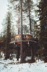 Außenansicht des Hauses auf Bäumen im Winterwald — Stockfoto