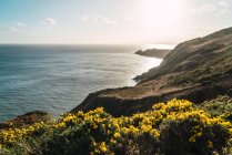 Landschaft mit Blick auf Blumen auf Küstenhügel und Meer — Stockfoto