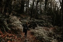 Visão traseira da mulher andando na floresta de outono — Fotografia de Stock