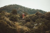 Blick auf rote helle traditionelle asiatische Pagode auf einem Hügel mit grünem Wald. — Stockfoto