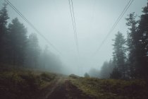 Strada rurale sotto cavi elettrici in boschi nebbiosi — Foto stock