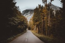 Уменьшающийся вид на дорогу, убегающую в лесу — стоковое фото