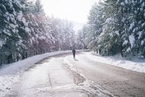 Rückansicht einer Frau, die auf der Straße durch verschneiten Wald läuft — Stockfoto