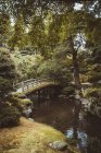 Pequena ponte sobre pequeno rio em bosques verdes — Fotografia de Stock