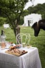 Table with snacks and drinks on background of pasturing horse . — Stock Photo