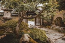 View of paved pathway in decorative oriental garden with trees and monuments. — Stock Photo