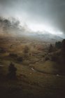 Landscape of grassy mountain valley in cloudy day. — Stock Photo