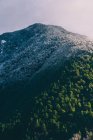 Malerischer Blick auf schneebedeckten Berg mit Wald in sanftem Sonnenlicht — Stockfoto