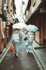 Rückansicht von zwei Frauen in traditioneller asiatischer Kleidung mit Regenschirmen auf der Straße. — Stockfoto