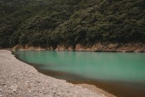 Vista a la orilla del lago y el lago de agua azul en la montaña con bosque verde . - foto de stock