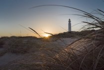 View through dry grass to lighthouse in sunset lights in dusk. — Stock Photo