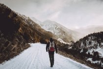 Vista traseira do turista com mochila andando na estrada da montanha — Fotografia de Stock