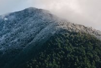 Grüner Wald am schneebedeckten Berghang über nebligem Himmel — Stockfoto
