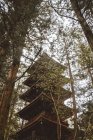Blick von unten auf den hohen traditionellen asiatischen Pagodenturm im grünen Wald. — Stockfoto