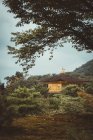 View to yellow traditional Asian pagoda in green forest. — Stock Photo