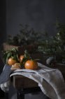 Натюрморт спелых мандаринских апельсинов с ветвями на столе
. — стоковое фото