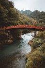 Pont rouge sur la rivière de montagne dans la forêt verte . — Photo de stock