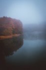 Landscape of misty lake and orange autumn trees — Stock Photo