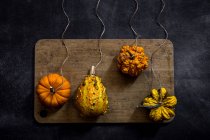 Arrangement of pumpkins tied to strings on cutting board — Stock Photo
