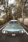 Carro em estrada arborizada de asfalto rural — Fotografia de Stock