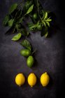 Размещение спелых лаймов и лимонов на темном столе — стоковое фото