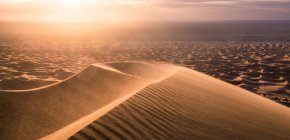 Panorama of sandy wavy hills at desert in sunset lights. — Stock Photo