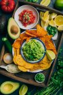 Tray with typical mexican snacks with nachos — Stock Photo