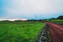 Пейзаж дороги в зеленых лугах — стоковое фото