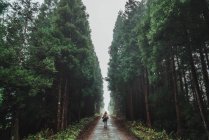 Young woman standing on road amid tall woods on foggy day — Stock Photo