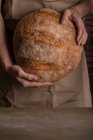 Midsection of male holding freshly baked loaf of bread — Stock Photo