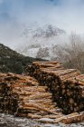 Stacked fuel woods on background of snowy mountains. — Stock Photo