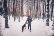 Vista posteriore dell'uomo che cammina con il cane nella foresta invernale . — Foto stock