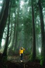 Mulher de camisola amarela olhando para longe na floresta enevoada — Fotografia de Stock