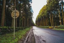 Panneau routier à la route asphaltée dans la forêt ensoleillée à feuilles persistantes . — Photo de stock