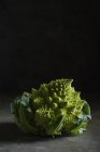 Studio shot of Romanesco Cauliflower over dark background — Stock Photo
