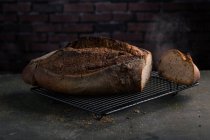 Frisch gebackenes Brot auf Blech — Stockfoto