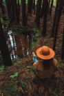 Вид ззаду жінки, що сидить біля ставка зелений ліс — стокове фото