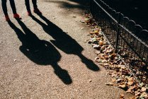 Дві чоловічі тіні на яскравій землі тротуару з осіннім листям — стокове фото