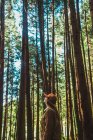 Жінка позує на тлі стовбурів дерев — стокове фото