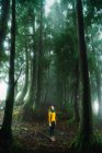 Mulher de camisola amarela olhando para cima na floresta enevoada — Fotografia de Stock