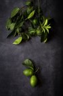 Натюрморт зі свіжих лимонів і листя на темному столі — стокове фото