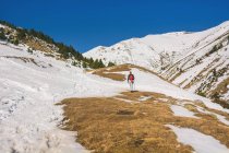 Vue arrière du randonneur montant la montagne avec de la neige par temps ensoleillé — Photo de stock