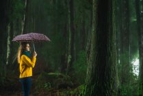 Женщина с зонтиком гуляет по ветреному лесу — стоковое фото
