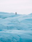 Randonnée touristique sur glacier enneigé — Photo de stock