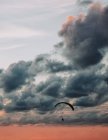 Silhouette of man paragliding over evening cloudy sky. — Stock Photo