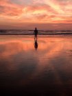 Silueta del hombre de pie en la costa húmeda en el océano en la puesta del sol . - foto de stock
