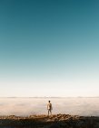 Rückansicht eines Touristen, der an einer Felskante über der Wolkenlandschaft steht. — Stockfoto